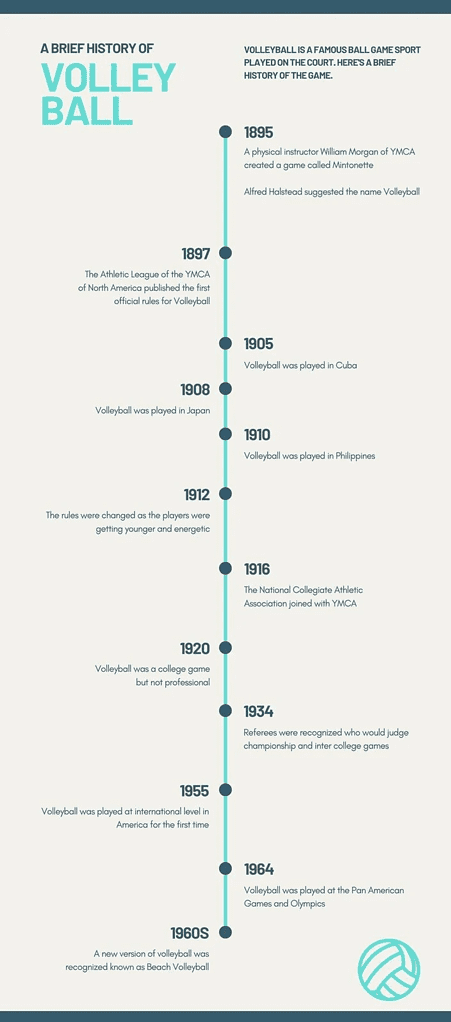 Timeline Infographic