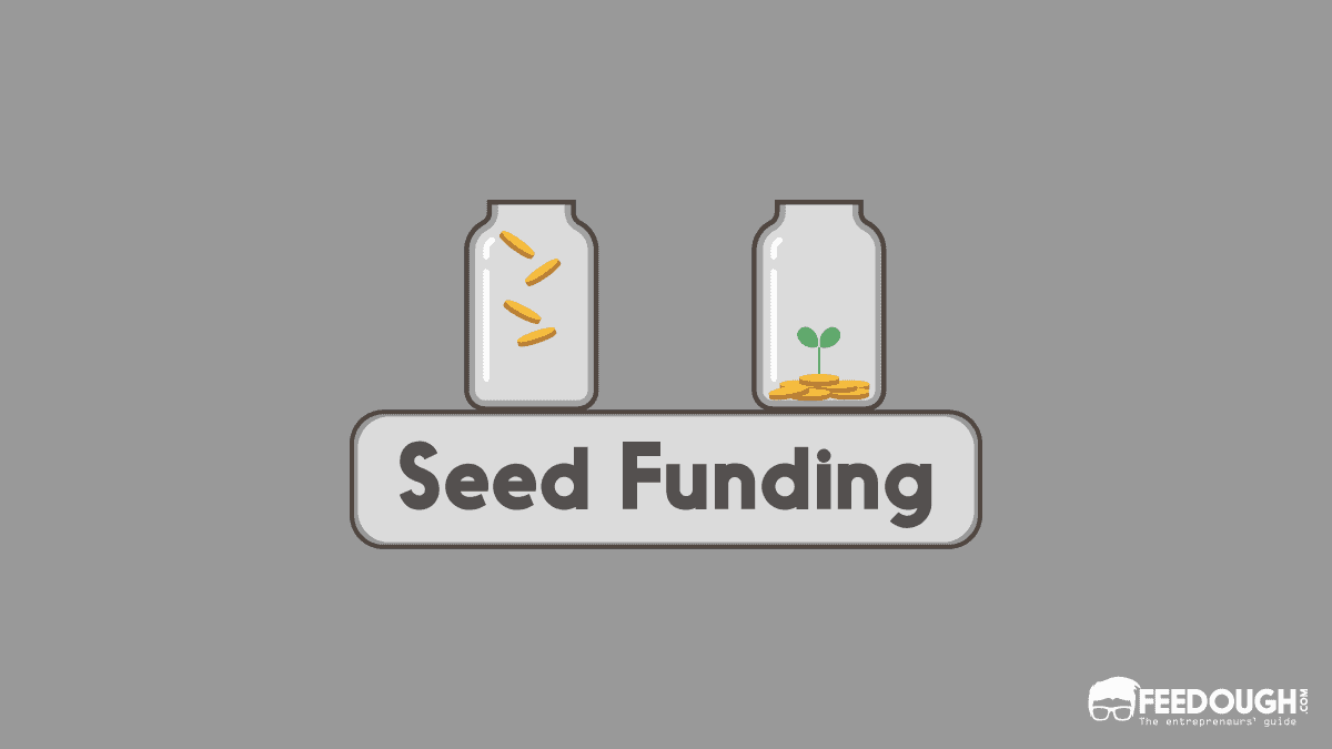 Seed Funding Explained: What It Is & How It Works