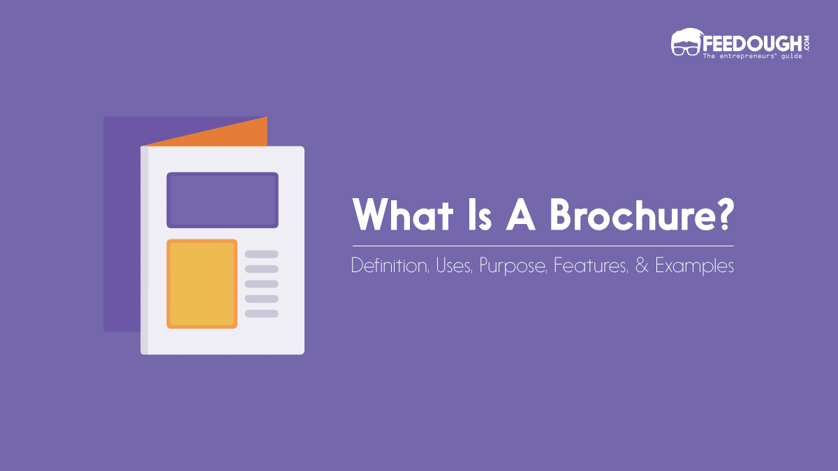 What Is A Brochure? - Types, Uses,  & Examples